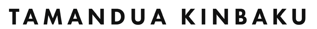 image-removebg-preview